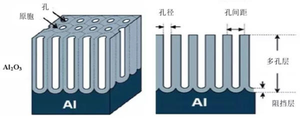 202108131552436753.jpg